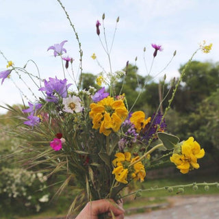 Wild Flowers from Heaven