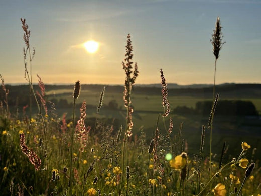 A sunset walk in photos