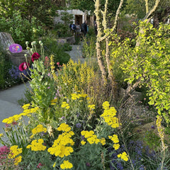 Chelsea Flower Show 2025