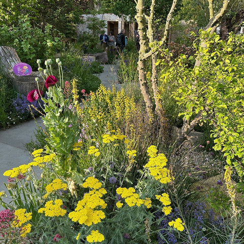 Chelsea Flower Show 2025