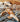 Pets & Prints Competition