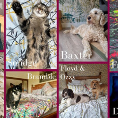 Pets & Prints 2025