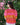 Siblings Smocked Blouses