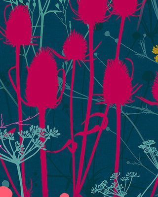 Summer Border