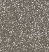 Gypsophila Wallpaper Sample - Mocha & Silver (120369)