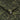 Wild Chervil Wallpaper - Sage & Gold (120385)