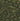 Wild Chervil Wallpaper Sample - Sage & Gold (120385)