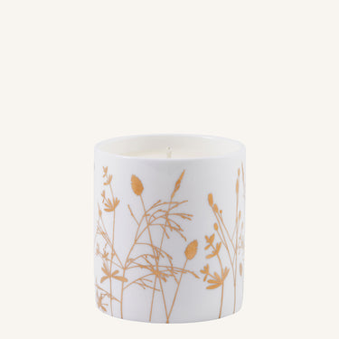 Umbellifer Gold Ceramic Candle – Mediterranean Fig & Olive