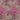 Fabric remnant 89 - Cotton - 69 x 110cm