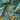 Mini Mix Cotton Poplin Fabric - Forest