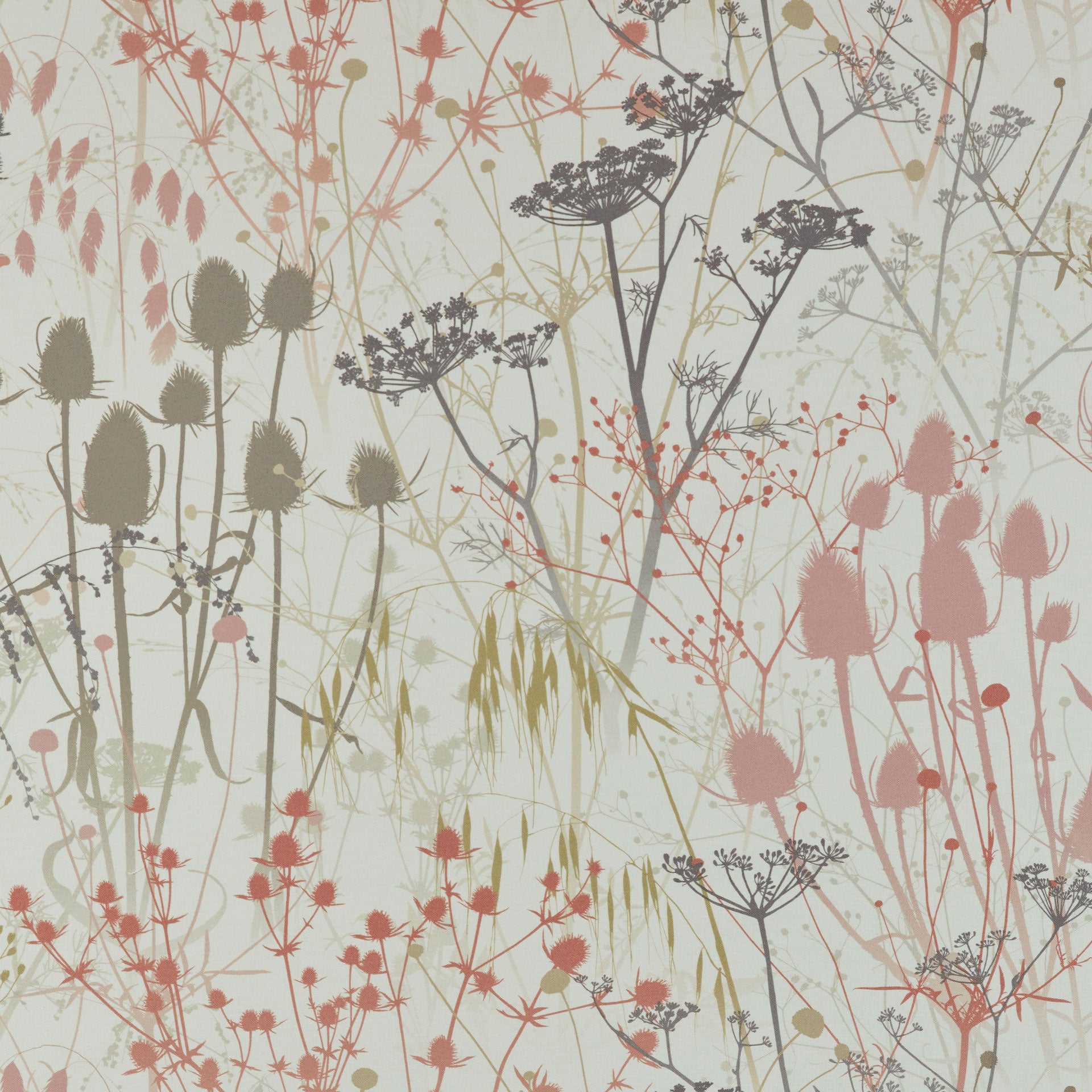 Summer Border Fabric - Shell – Clarissa Hulse