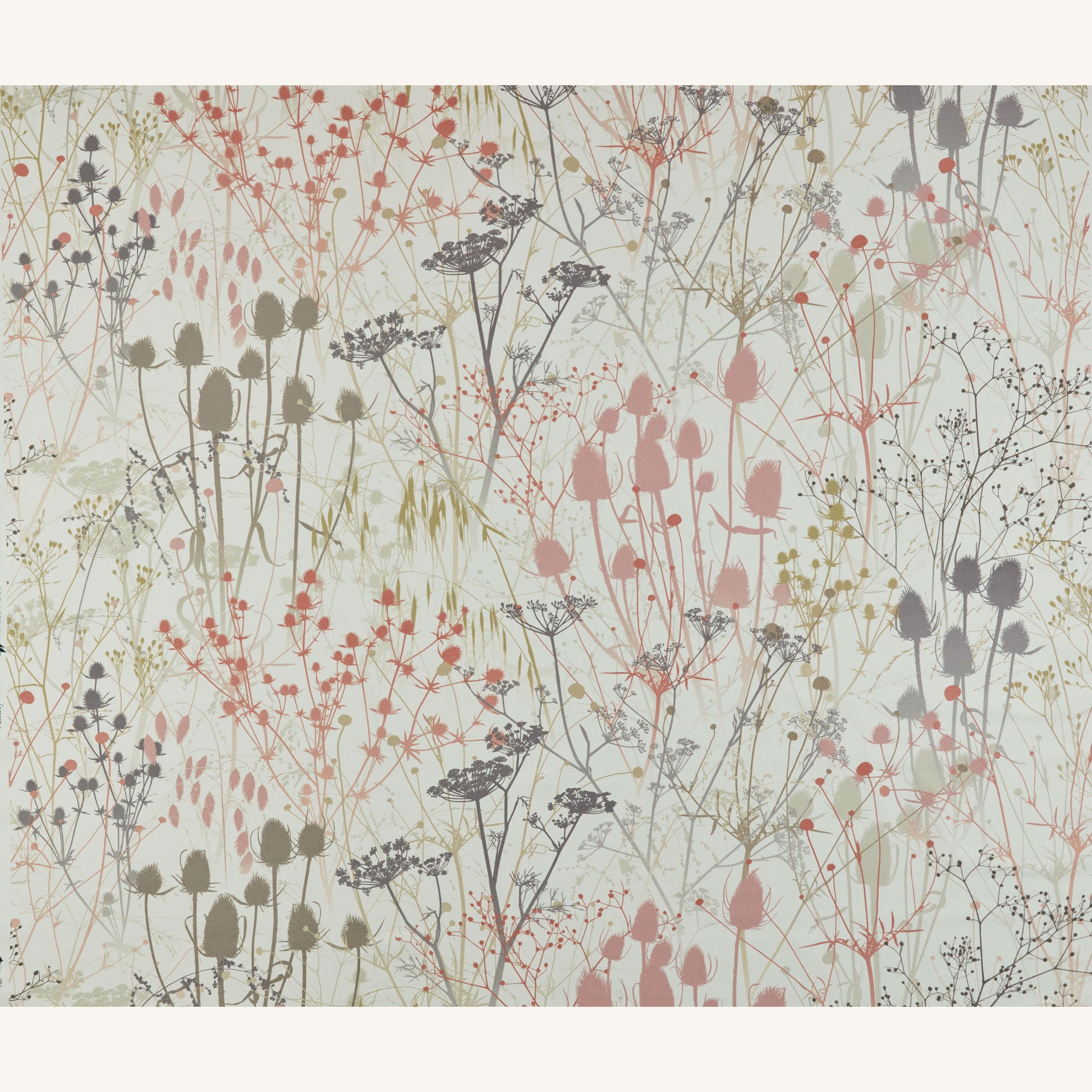Summer Border Fabric - Shell – Clarissa Hulse
