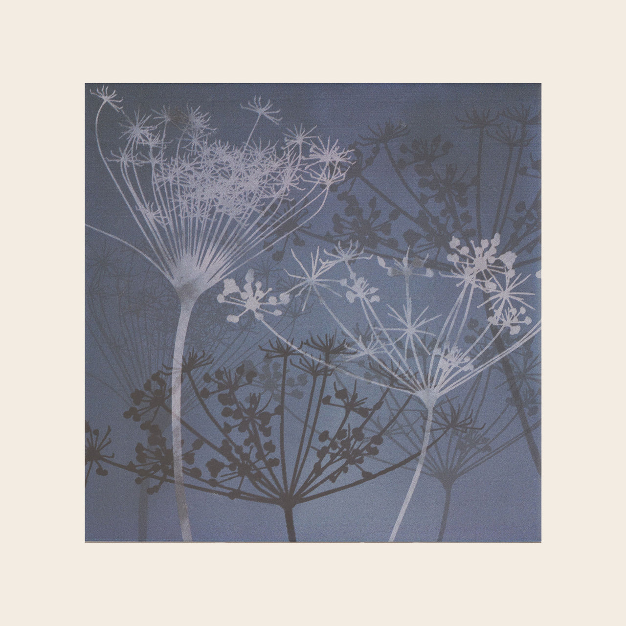 Tiles Clarissa Hulse Tiles Clarissa Hulse