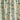 Wild Chervil Fabric – Peacock
