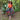 Woodland Disco Skirt - Rainbow