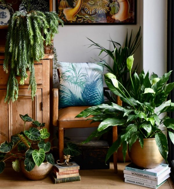 happy plants cushion